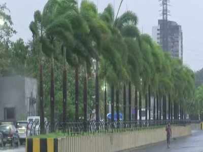 Cyclone Tauktae wreaks havoc on Maharashtra coast, several trees, light poles uprooted