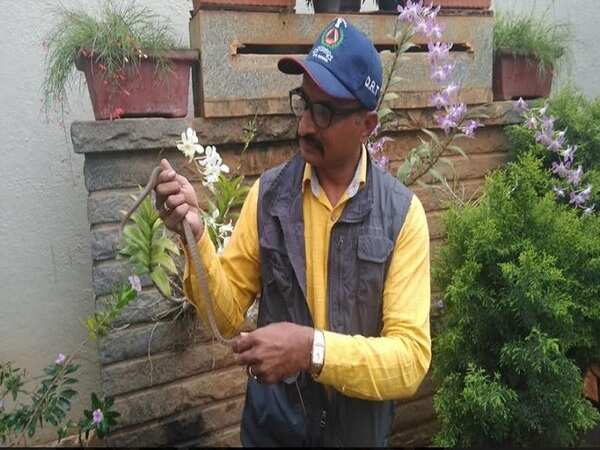 Karnataka: Snake rescued from home minister's house in Bengaluru