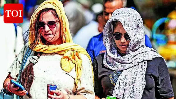 IMD forecasts heatwave relief in North India over next 3 days, warns of thunderstorms and strong winds
