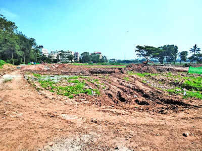 Fresh start for weed-ridden lake