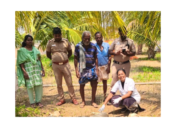 Stray dogs maul 14 goats to death in two villages in Tirupur