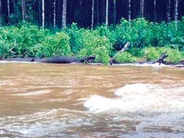 Goa: 9,000-year-old rock carvings in Pirla face rain fury