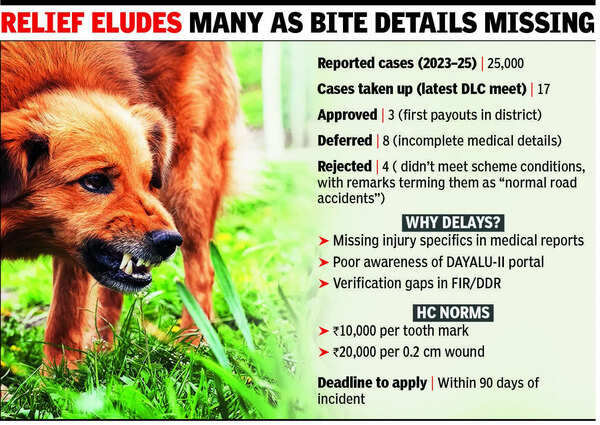 Only 3 get dog-bite compensation in Pkl, 2.5 years after HC norms