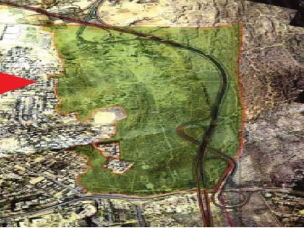 New road to run 2km inside Aravali Biodiversity Park, 20-25m from its edge