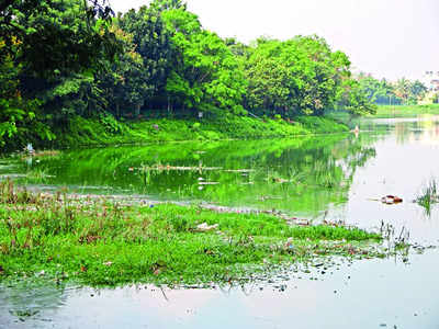 STP shut, untreated sewage flows into lake