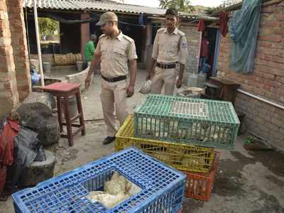 Kolkata Police bust international carcass meat supply racket, two held, 10 detained