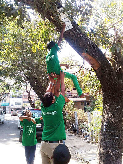 Drive to rid trees of nailed ads