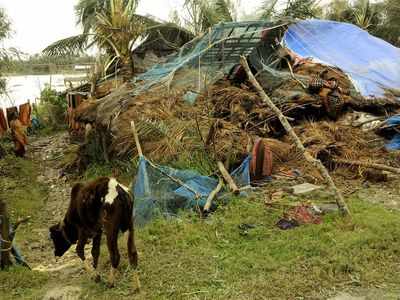 Cyclone Bulbul: Seven dead, 2.73 lakh affected in West Bengal