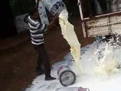 Milk spilled on streets as farmers launch agitation over a demand for hike in prices