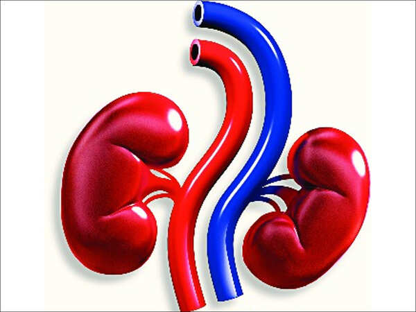 In Odisha's first cadaveric kidney transplant, two get organs from brain-dead patient