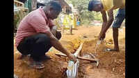 Worms found in tap water alarms Valpoi locals