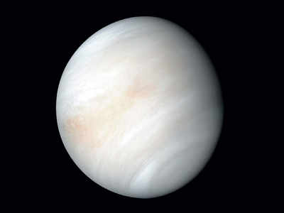 Signs of life in inhospitable Venus