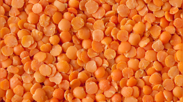 Lentils (cooked)