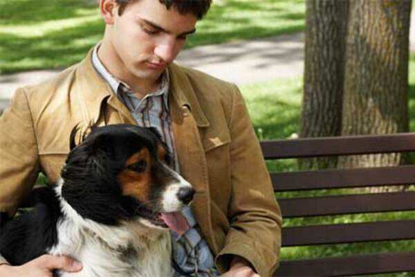 5 things to ask yourself before getting a pet