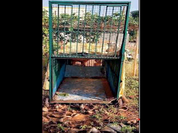 Karnataka: 15 villages, 16 cages, and an elusive leopard