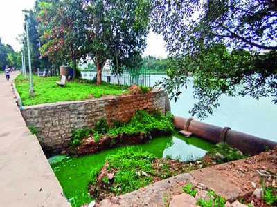 Create a safe haven around this lake, please