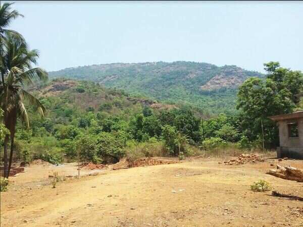 Goa’s Honda drives an export industry