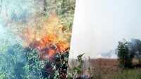 Haryana: Stubble burning continues in Kurukshetra 