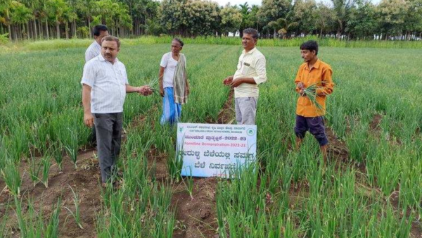 Karnataka: Scientists encourage farmers to grow ‘Bhima Super’ onion