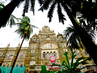 High Court refuses to vacate stay imposed on BMC's Tree Authority