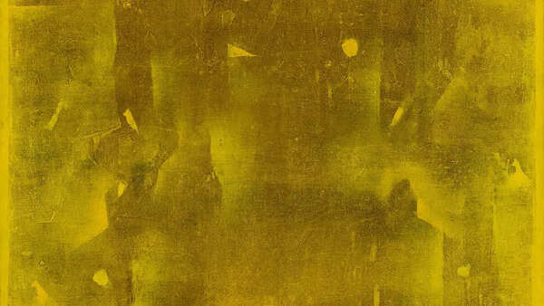 Rs 355 crore sale marks new high for Indian art market