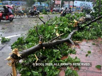 Thane: Two killed as tree collapses on them in heavy rain