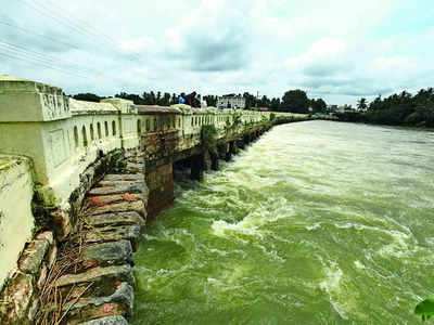 Cauvery pollution: Panel submits report with recommendations