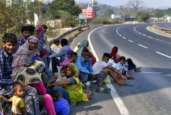 Gujarat govt to send proposals of road widening in forest areas to Union govt