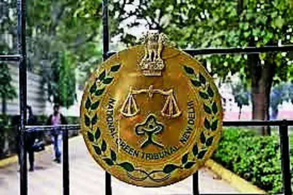 NGT raps NHAI for flyover over protected pond, orders penalty