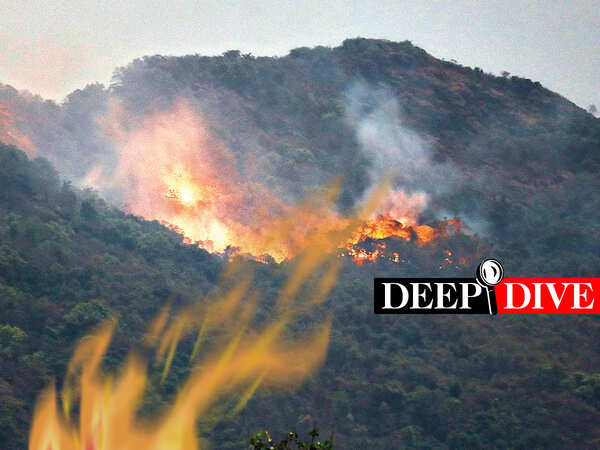 Is the fire in Goa’s forest a manmade disaster? 