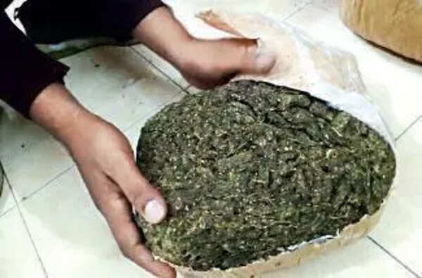 65-year-old Kolhapur farmer arrested for growing ganja in sugar cane field