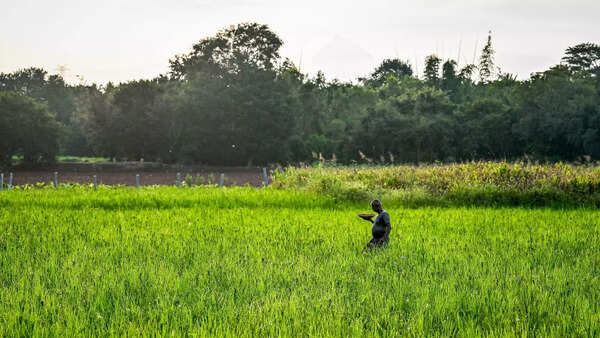 Govt's plan to sell fertiliser PSU stake may have to wait