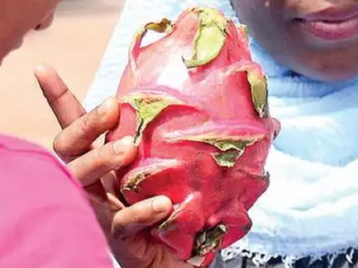 Gujarat government renames Dragon Fruit as Kamalam