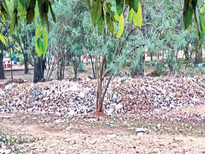 Save Cubbon Park from the litterbugs, please