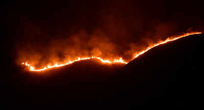 Theni forest fire: Death toll rises to 20