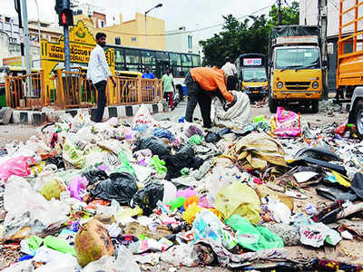 Animal waste processing plant on the cards