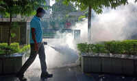Gurgaon launches fever survey amid fears of early dengue, malaria rise