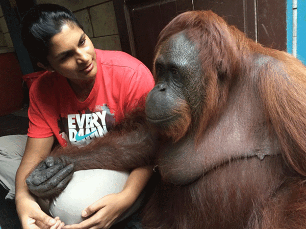Pet trouble? Call an animal whisperer
