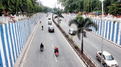 Steel flyover has no environmental clearance