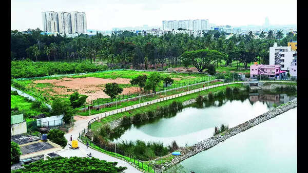 Cultural group plans festivities off lake, HSR residents worried
