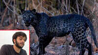 Meet photographer who clicked rare picture of black panther in Maharashtra 