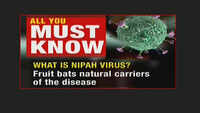 Nipah virus case confirmed by Kerala govt, 86 people under observation 