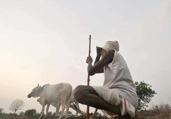 Pattiseema: Farmers in Rayalaseema seek their pound of flesh