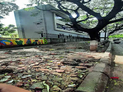 Lalbagh footpath woes ahead of Flower Show