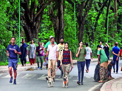 Voices against Art Park in Cubbon Park grow louder