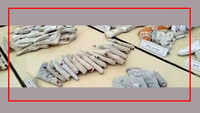 Cops seize large number of illegal weapons, liquor during routine check in UP's Bulandshahr 