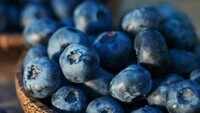 Blueberry consumption good for heart, says new study 