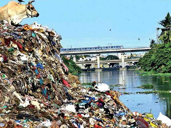 Where Adyar is just a stream of trash