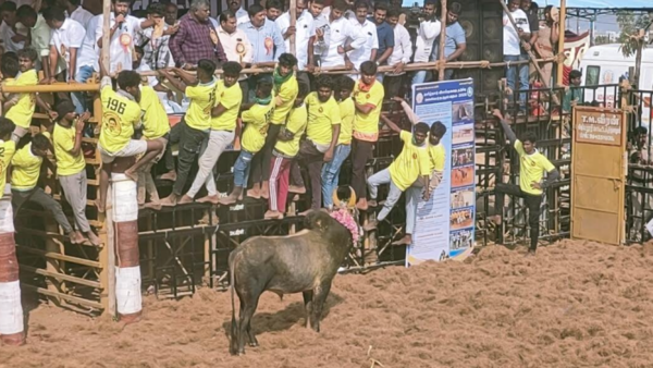 Jallikattu held at Kumarapalayam