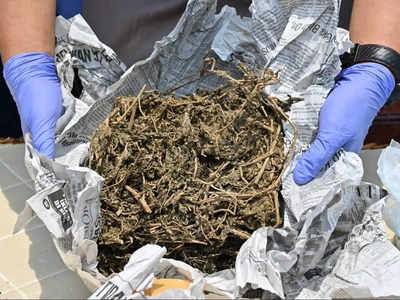 Thriving ganja home-delivery racket busted
